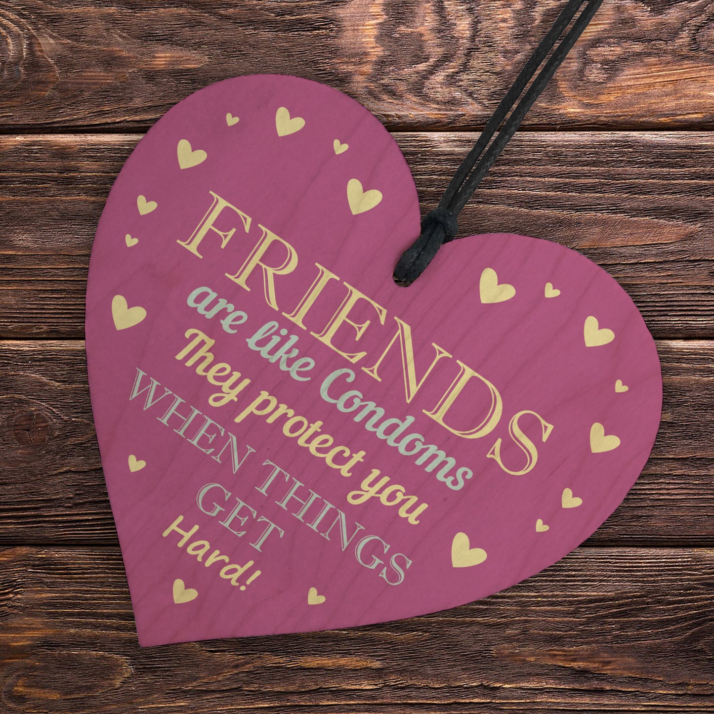 Funny Rude Friendship Sign Joke Birthday Christmas Gift