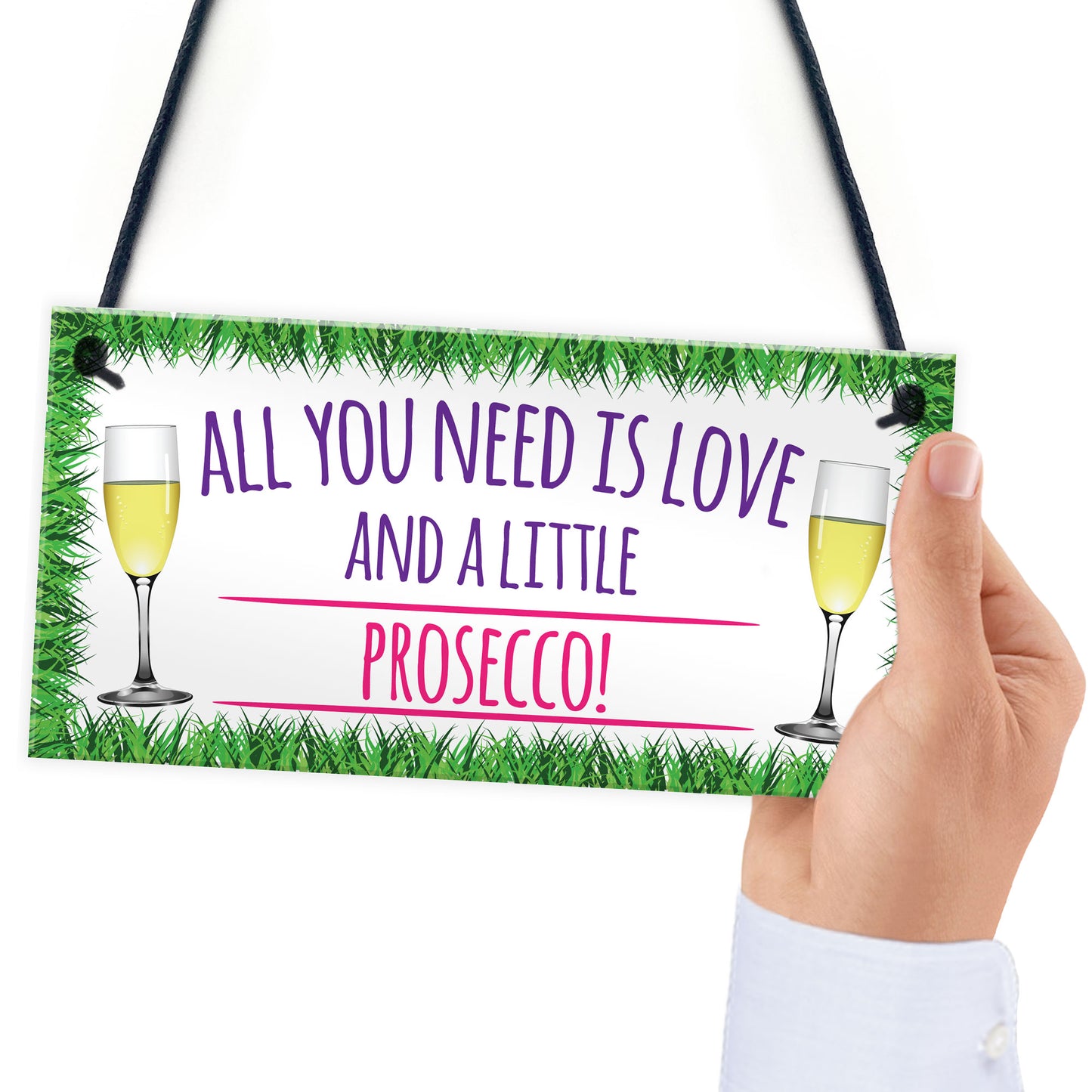 All You Need Is Love And Prosecco Alcohol Hanging Plaque