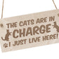 Funny Cat Gifts For Cat Lovers Hanging Wood Sign Home Decor