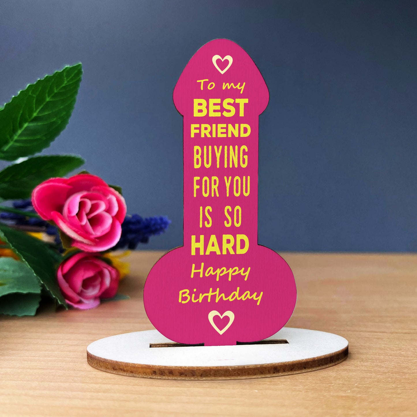 Funny Friendship Plaque Joke Novelty Birthday Gift For Friend