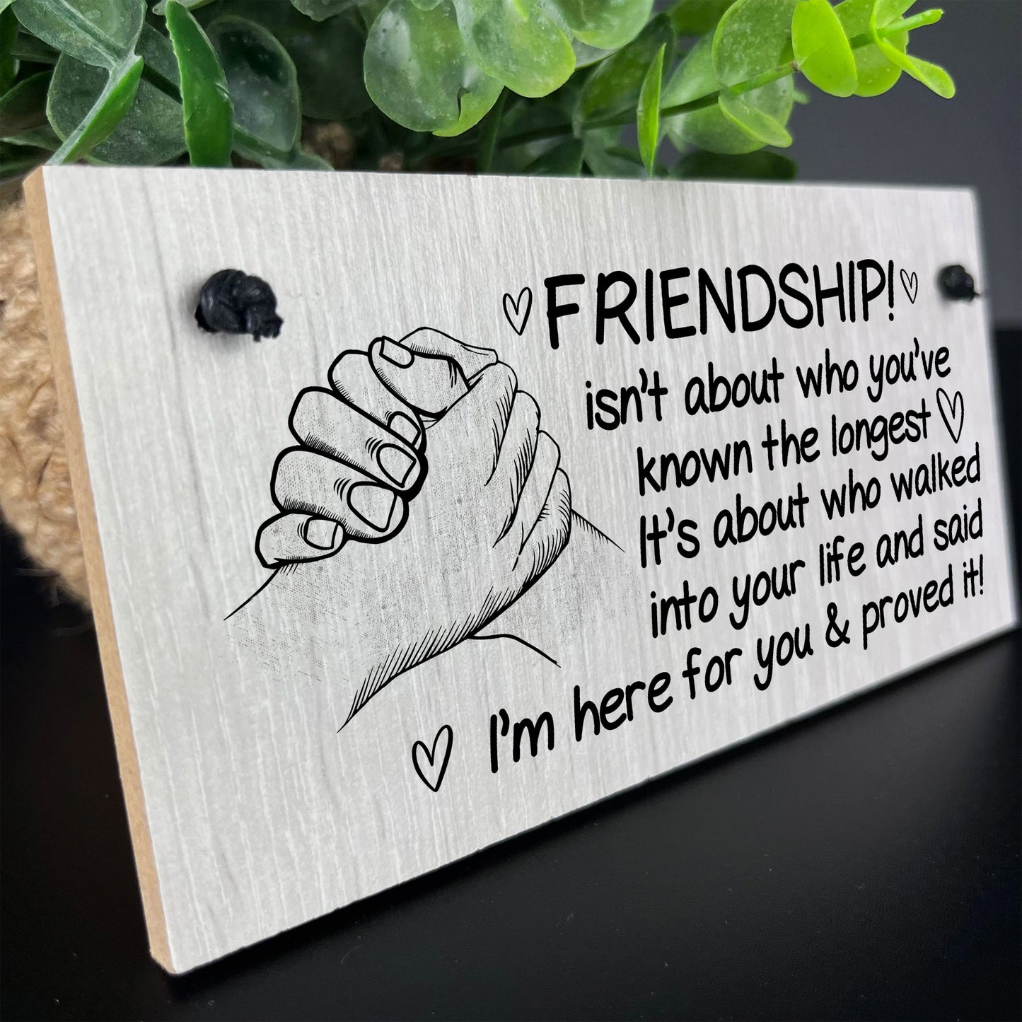 FRIENDSHIP SIGN Hanging Wood Plaque Best Friend Birthday Xmas