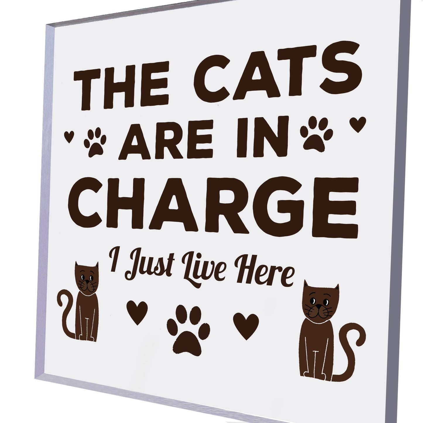 Funny Cat Gifts For Cat Lover Gift For Women Acrylic Animal Sign