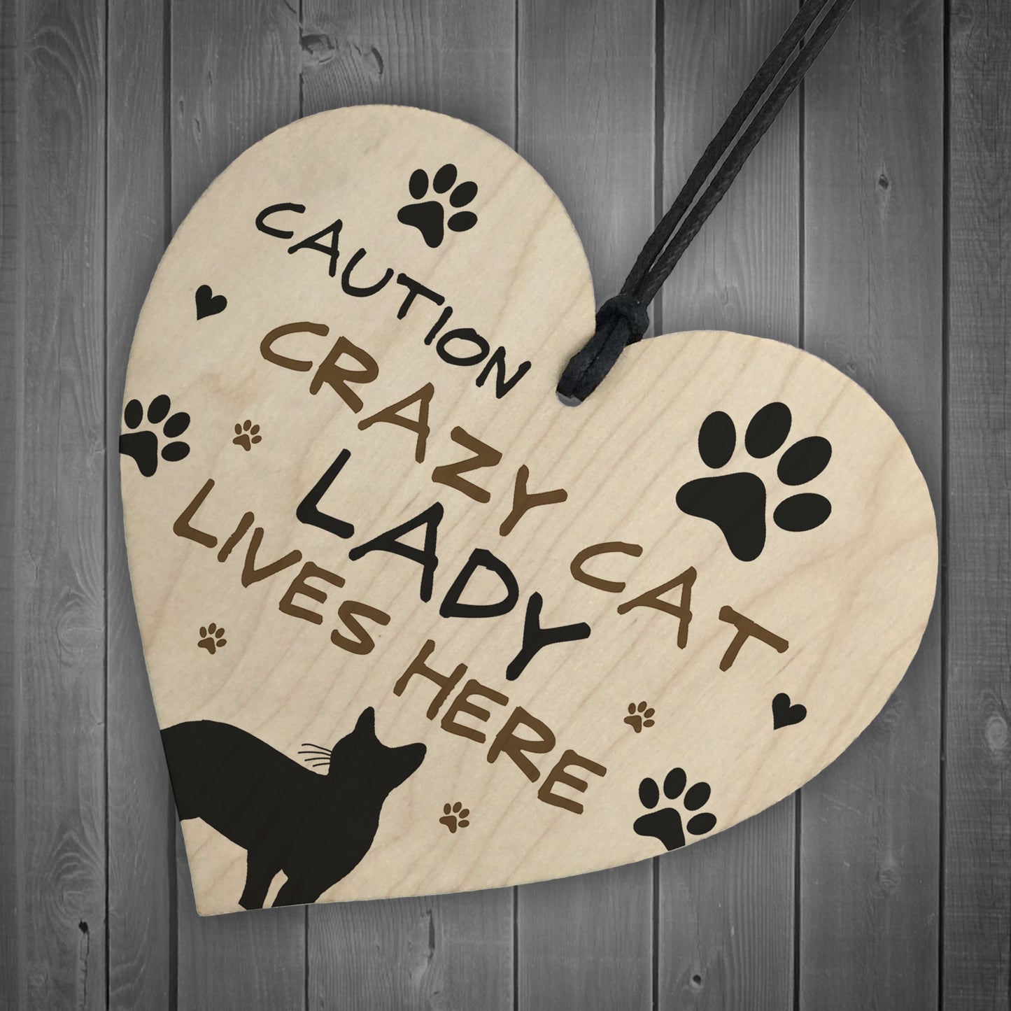 Cat Sign CRAZY CAT LADY Gift For Women Cat Gift Funny Cat Sign