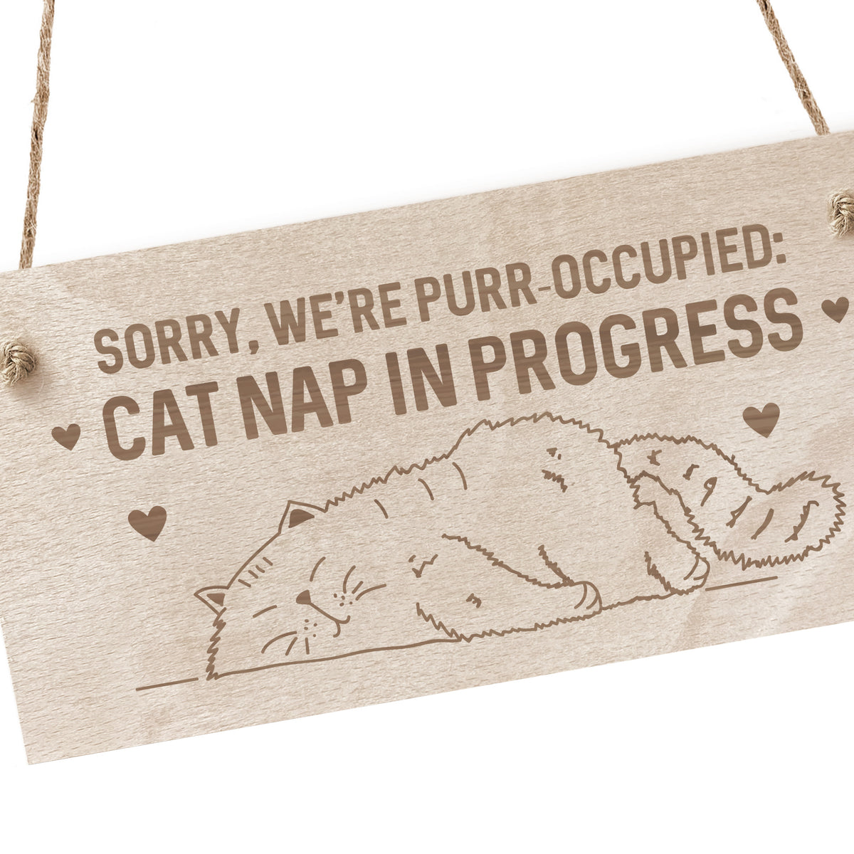 Funny Cat Gifts For Cat Lovers Cat Signs Gift For Women Engraved