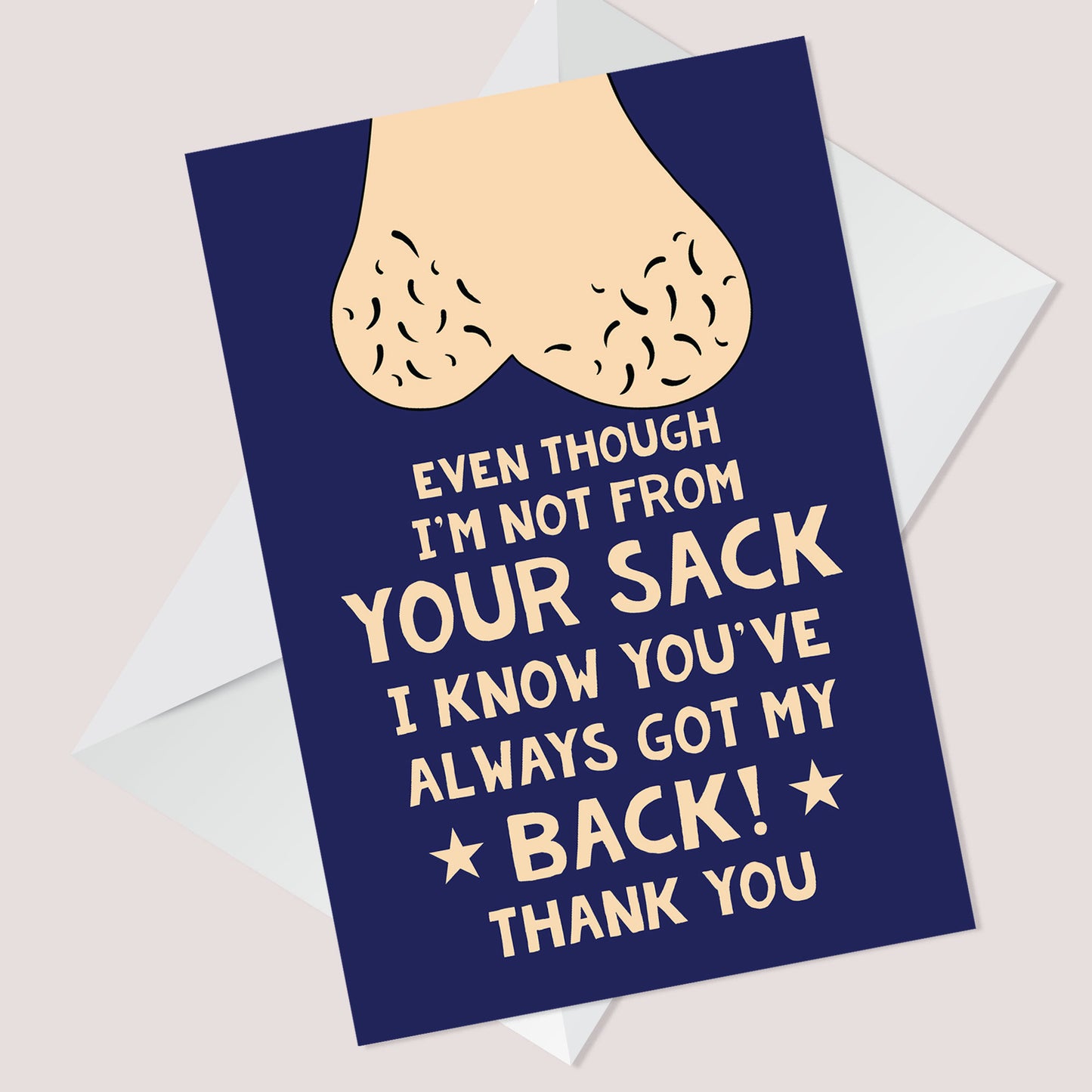 Stepdad Christmas Birthday Card Not From Your Humor Funny Card