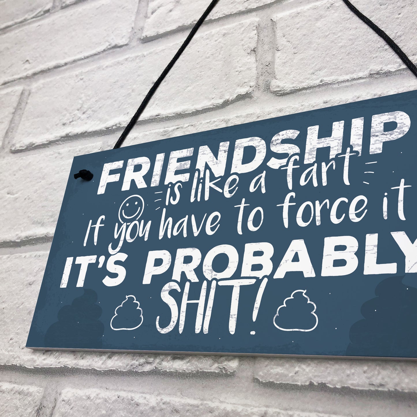 Funny Friendship Sign Novelty Best Friend Plaque Birthday Gift