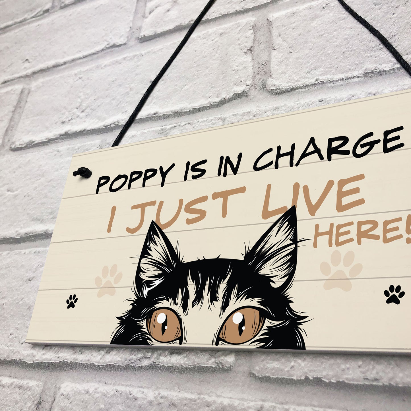 Funny Cat Sign In Charge Cat Lovers Gift For Women Home Decor