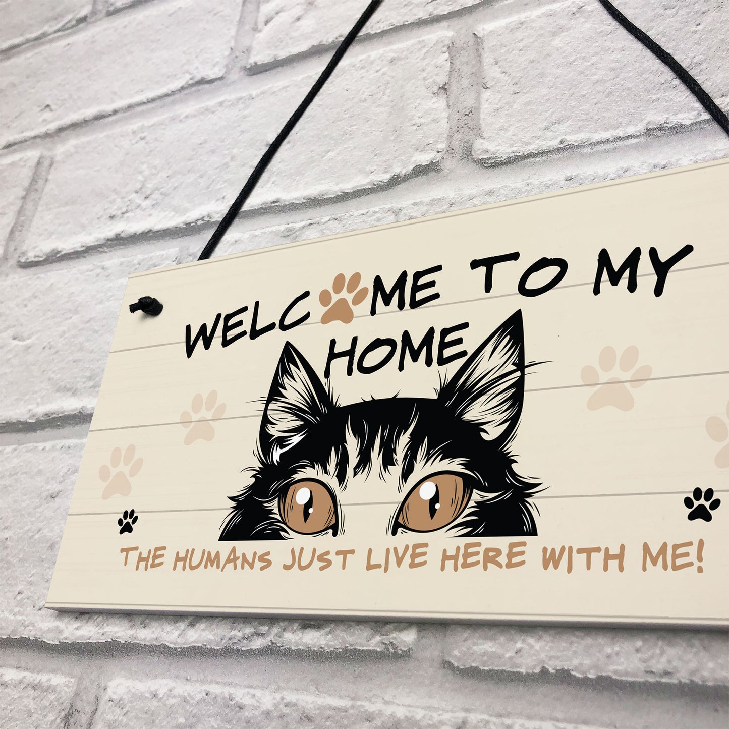 Funny Cat Sign Welcome Sign Cat Lover Gift For Women Home