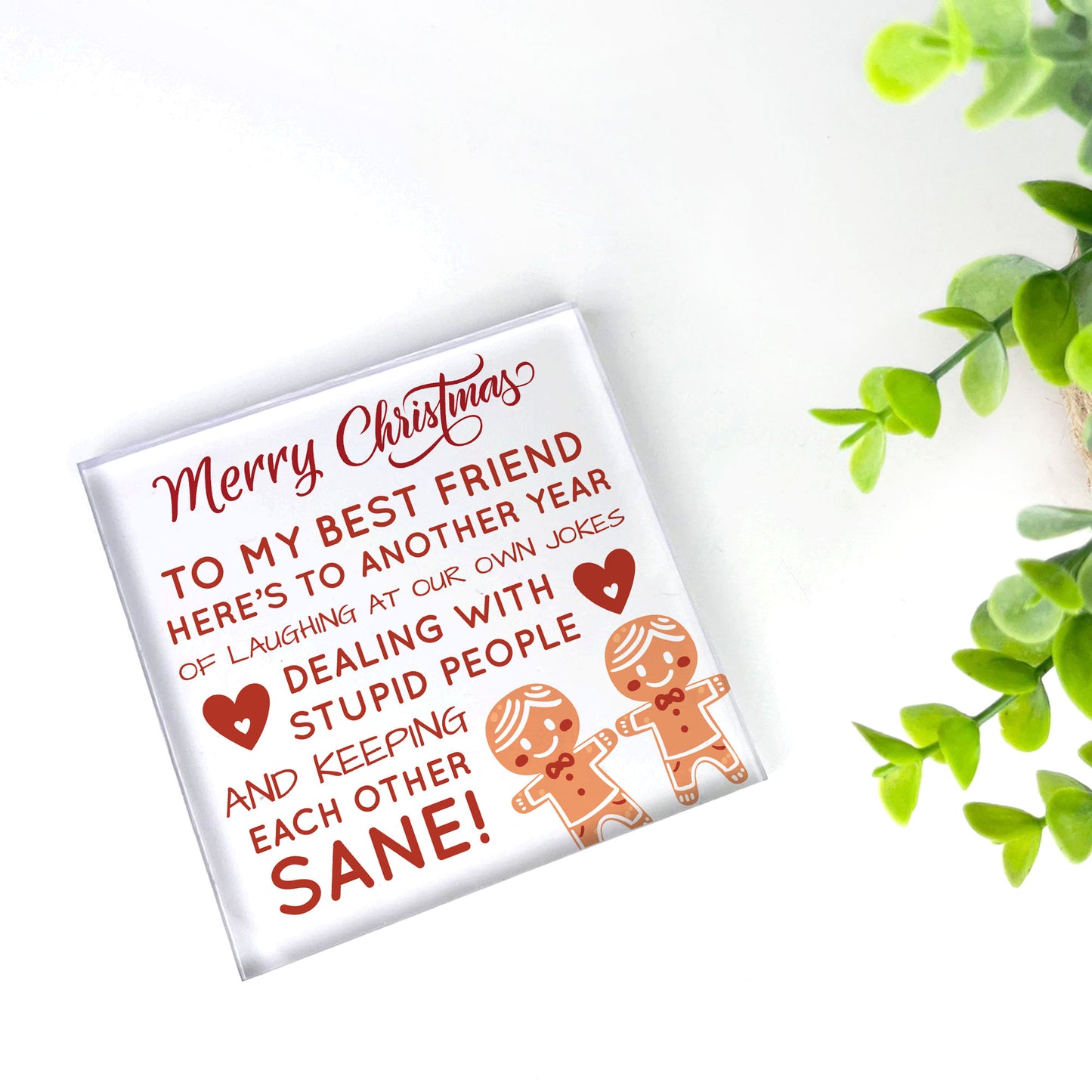 Best Friend Christmas Funny Gift For Friend Acrylic Plaque Gifts