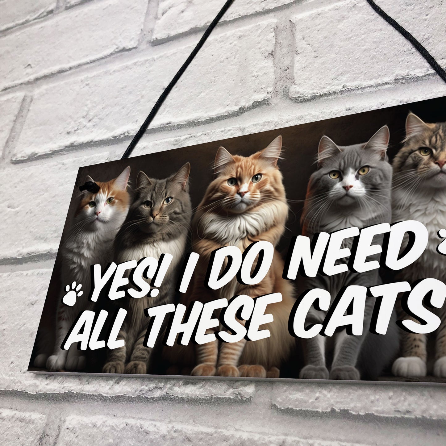 Funny Cat Gift For Cat Lovers Gift For Women NEED ALL THESE CATS