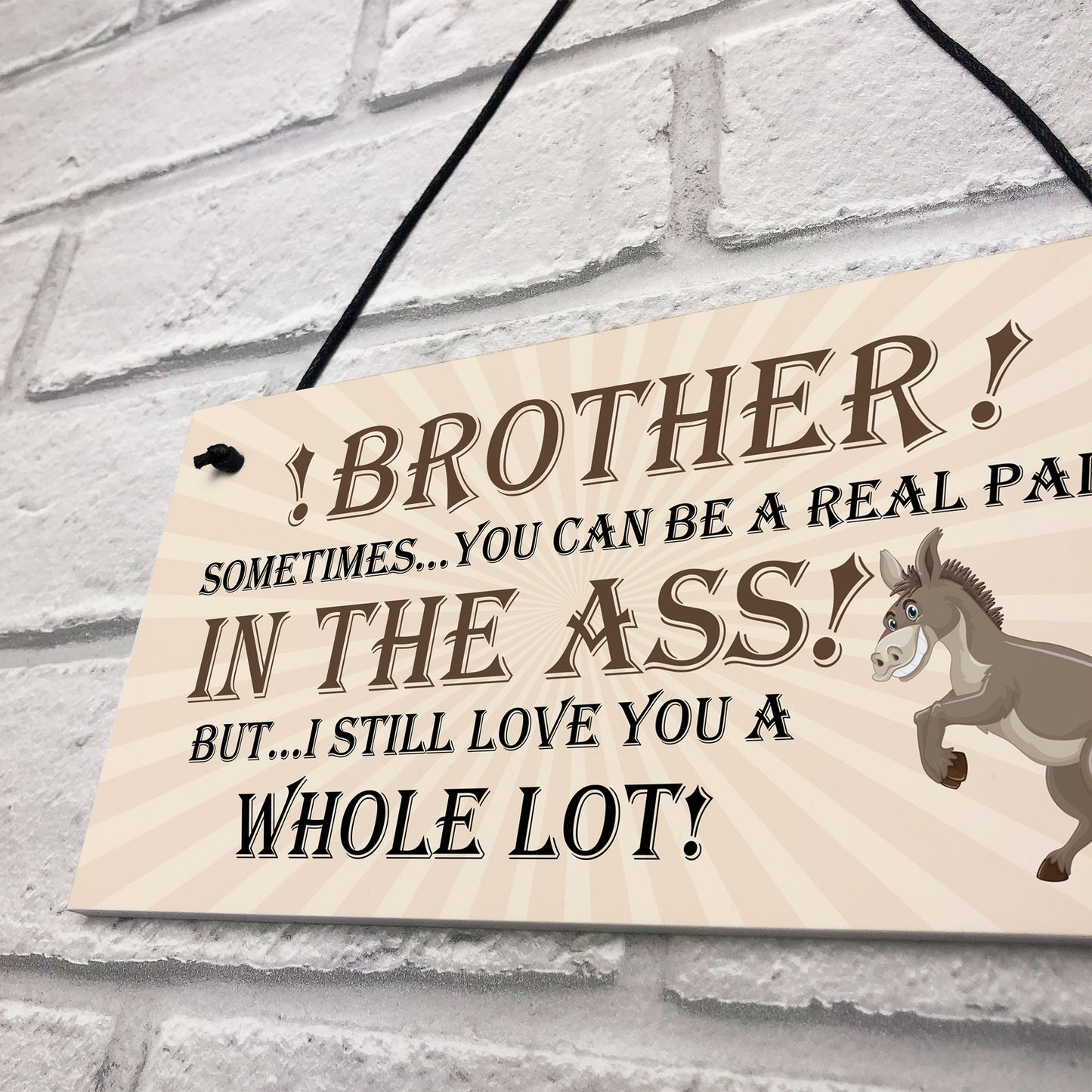 Brother Birthday Gift Brother Christmas Gift Hanging Sign Funny