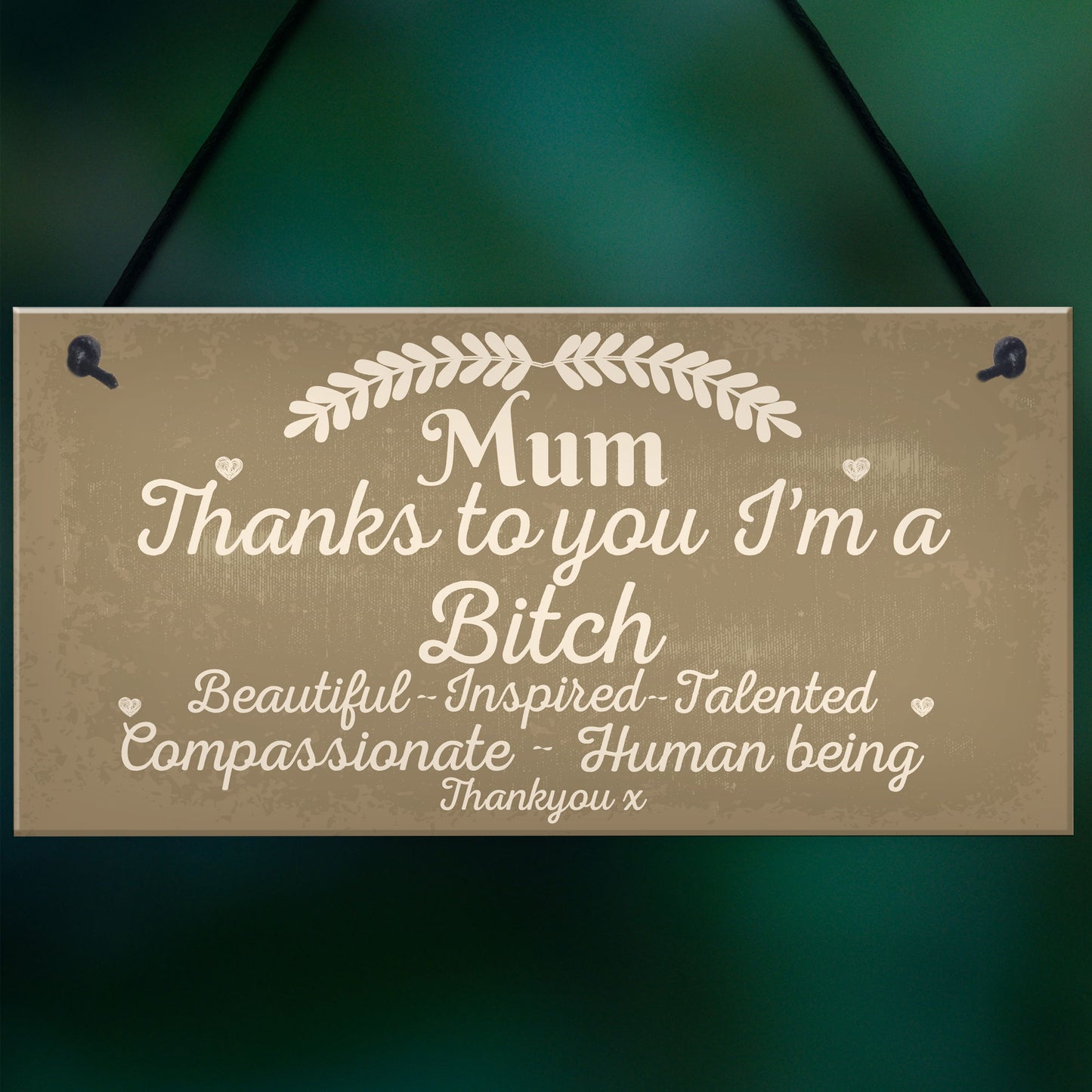 Mum Thanks To You I'm A Bitch Hanging Signs Mothers Day Plaques