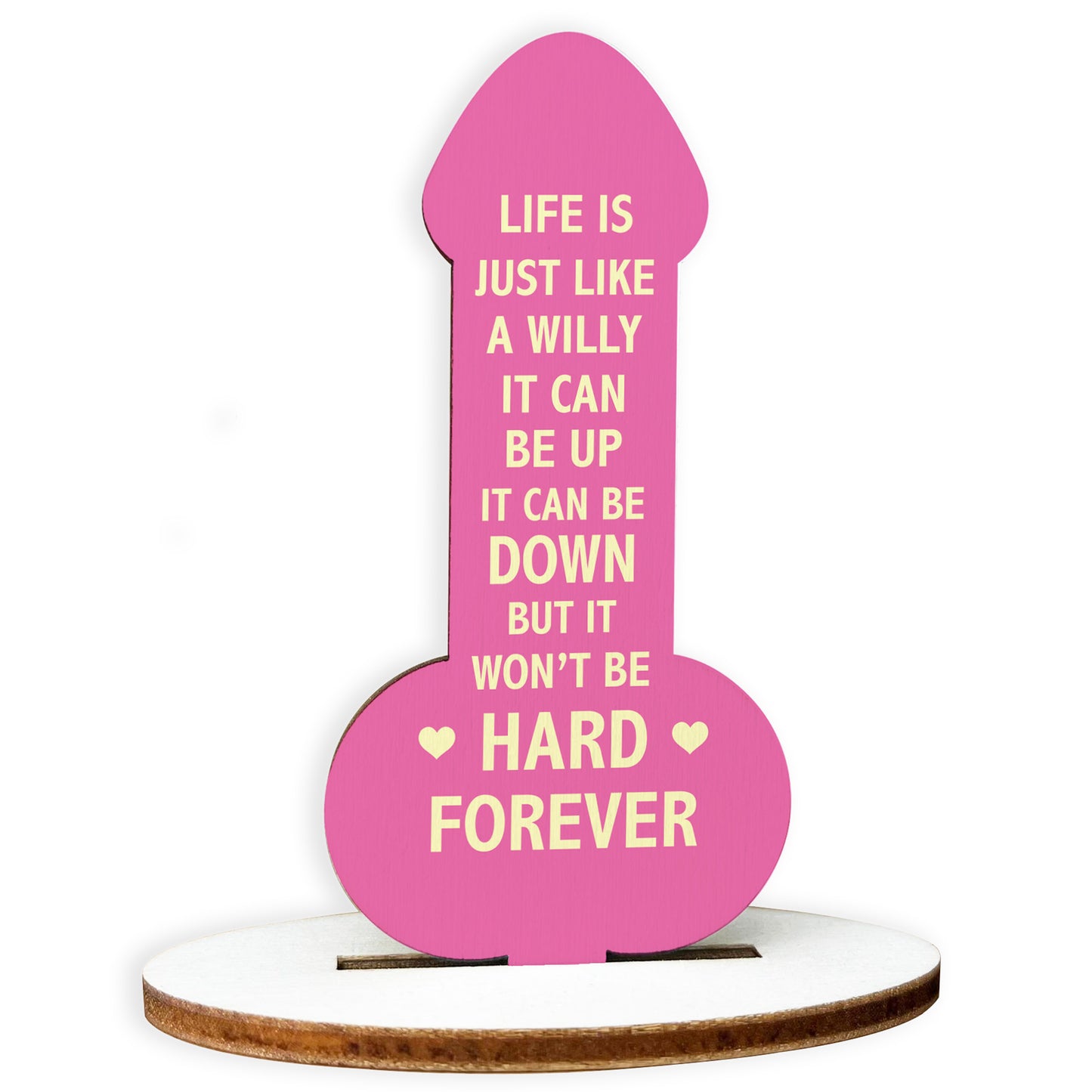 Motivational Plaque Funny Friendship Plaque Novelty Birthday