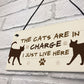 The Cats Are In Charge Hanging Sign Funny Cat Gift Home Decor