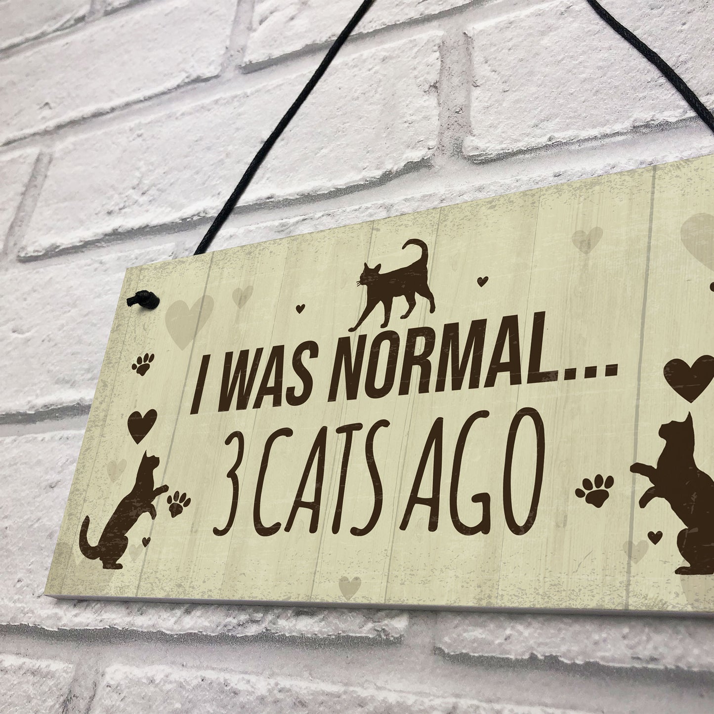 Funny Cat Gifts For Cat Lovers Birthday Cat Sign For Home Wall