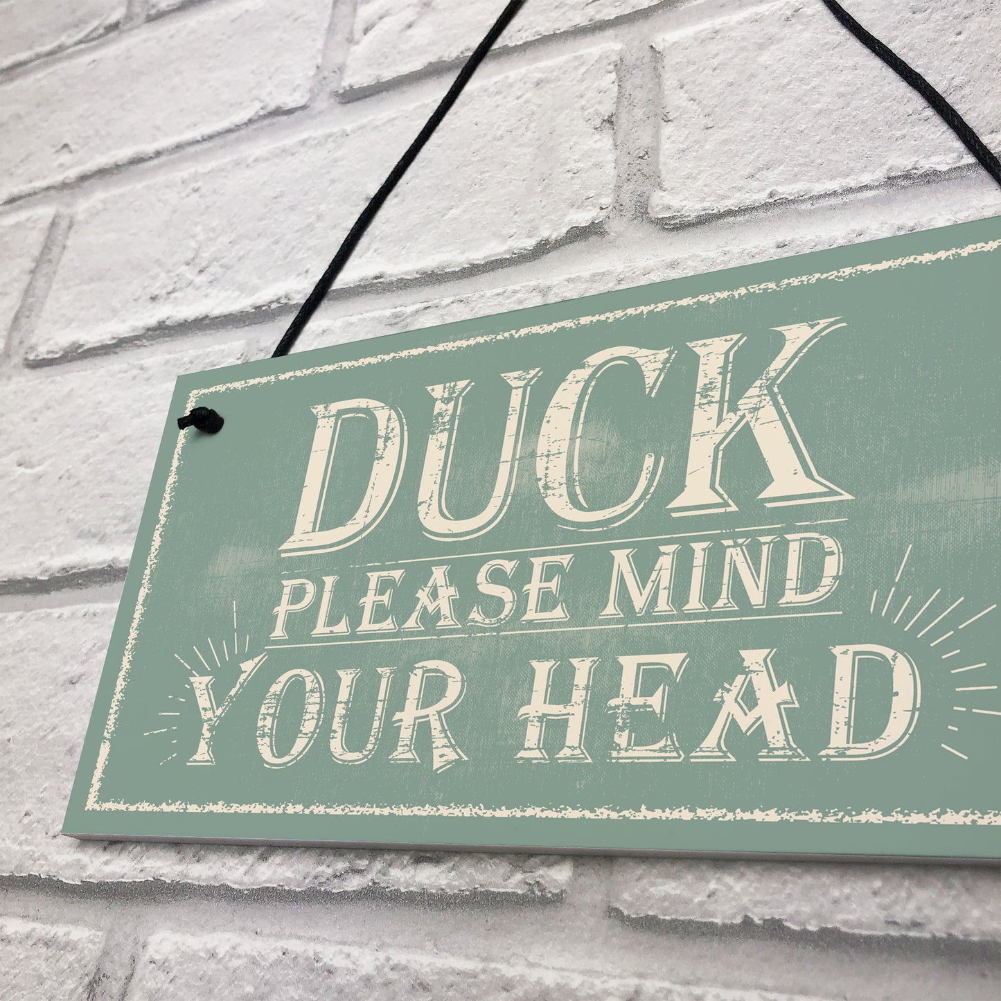 Duck Mind Your Head Friendship Home Gifts Door Wall Plaques