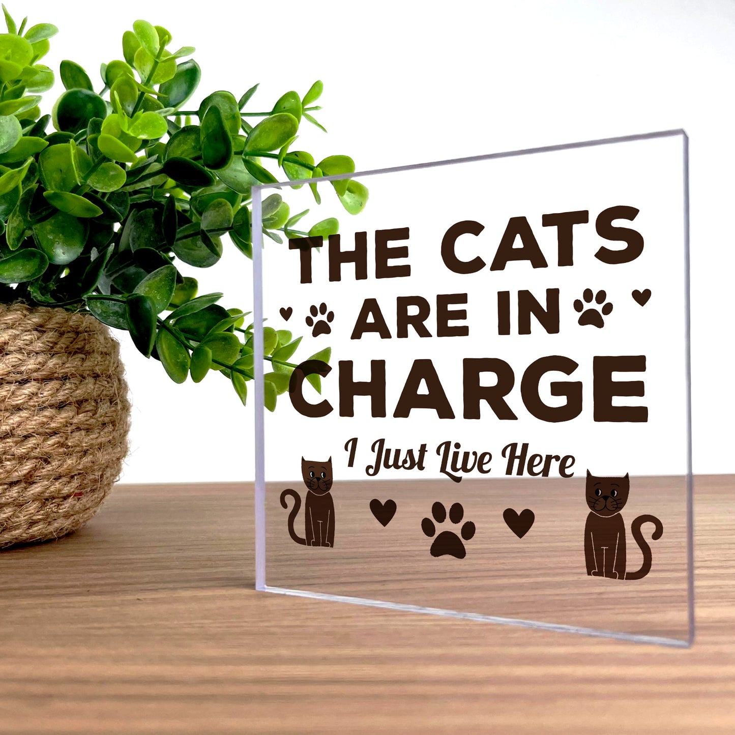 Funny Cat Gifts For Cat Lover Gift For Women Acrylic Animal Sign