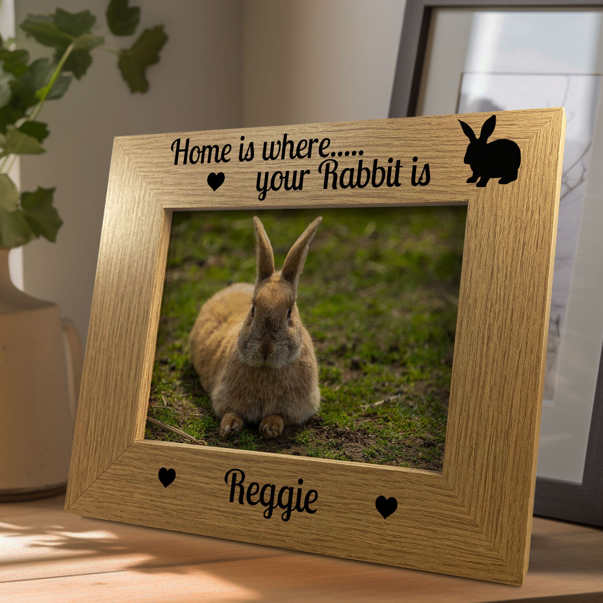 Pet rabbit sales memorial