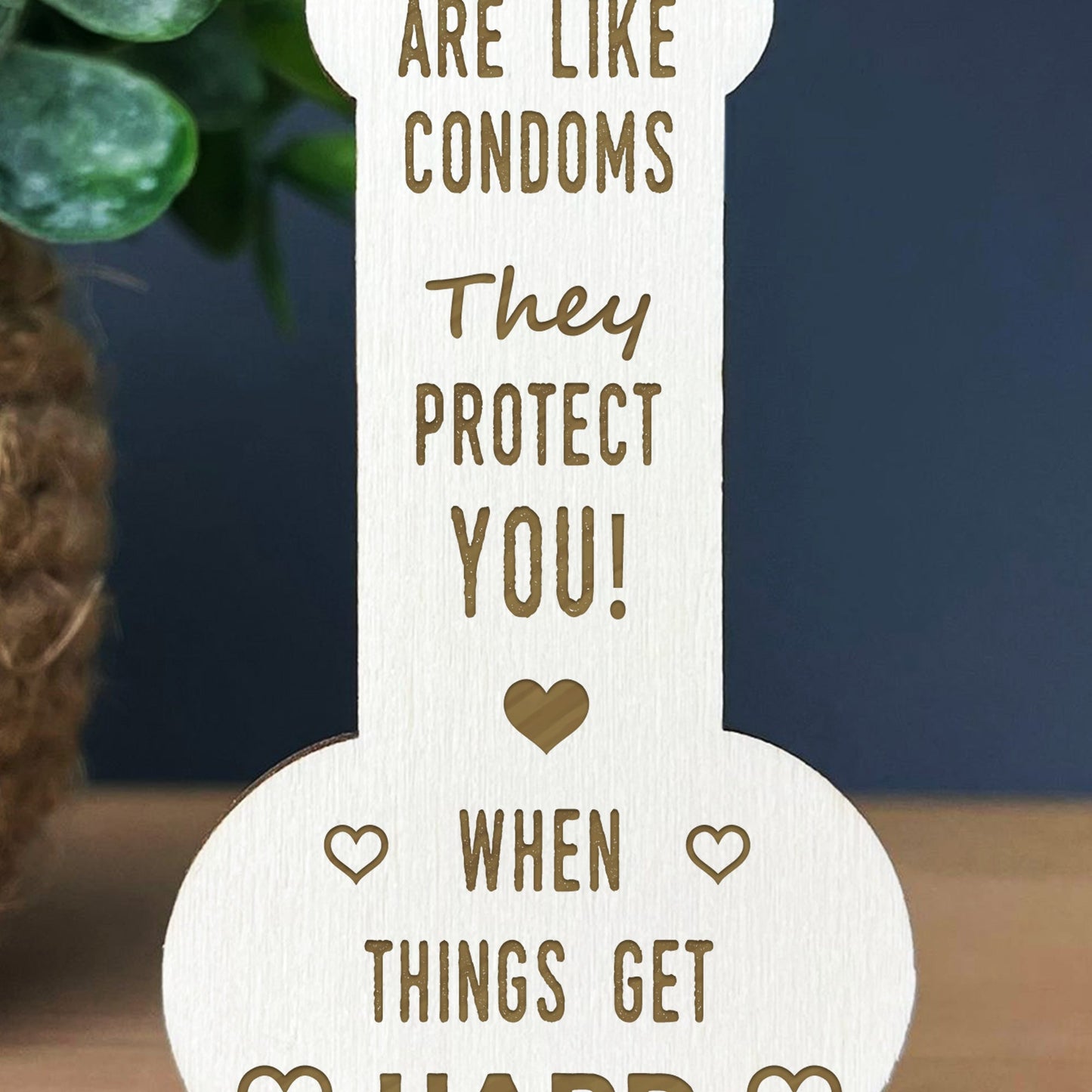 Funny Rude Friendship Plaque Novelty Birthday Gift For Friend