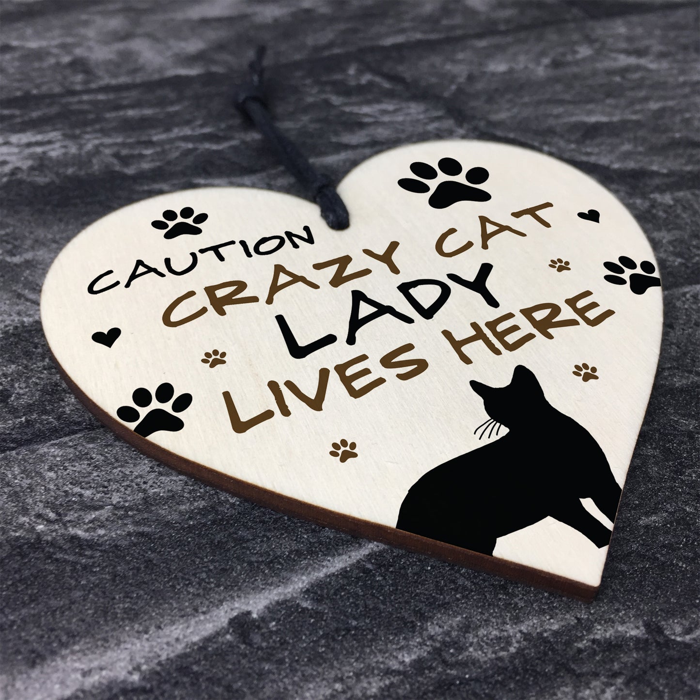 Cat Sign CRAZY CAT LADY Gift For Women Cat Gift Funny Cat Sign