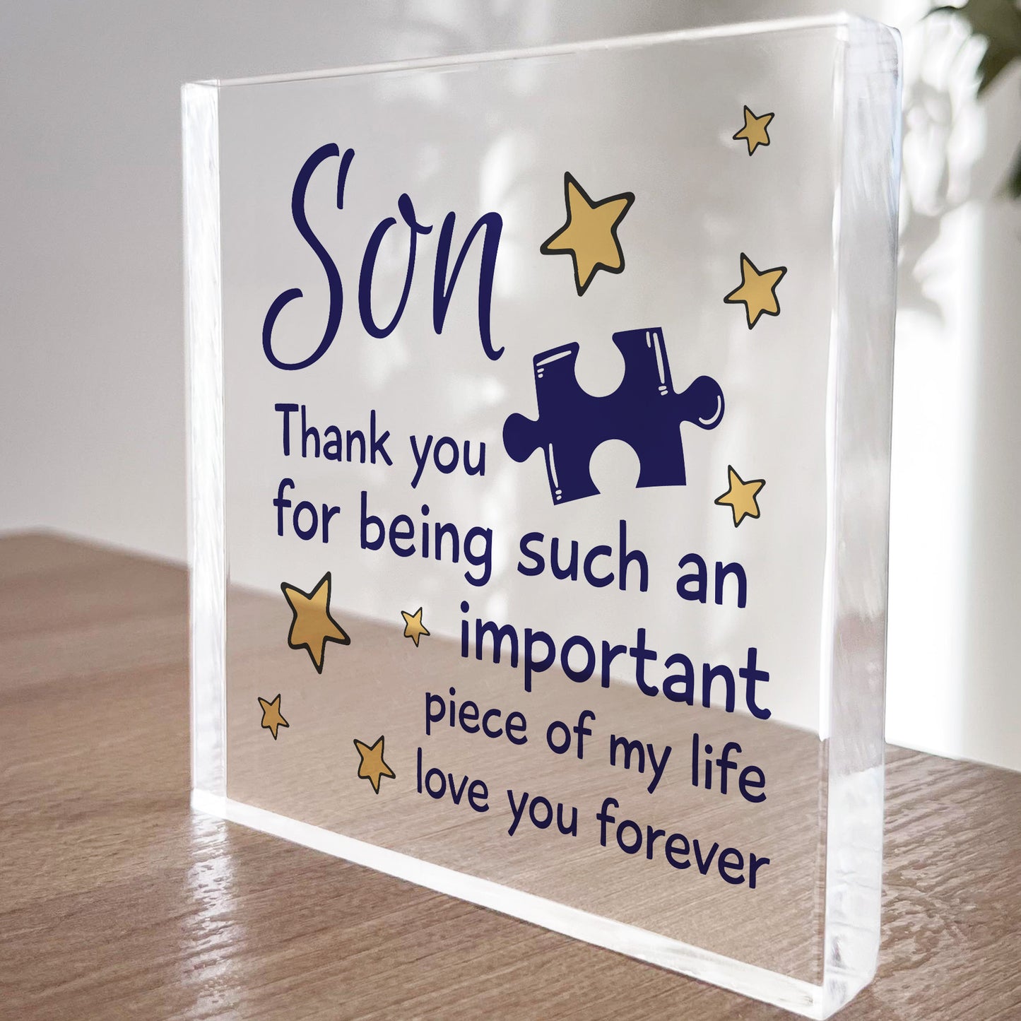 Gifts for Son Acrylic Block Son Birthday Gifts Idea Christmas